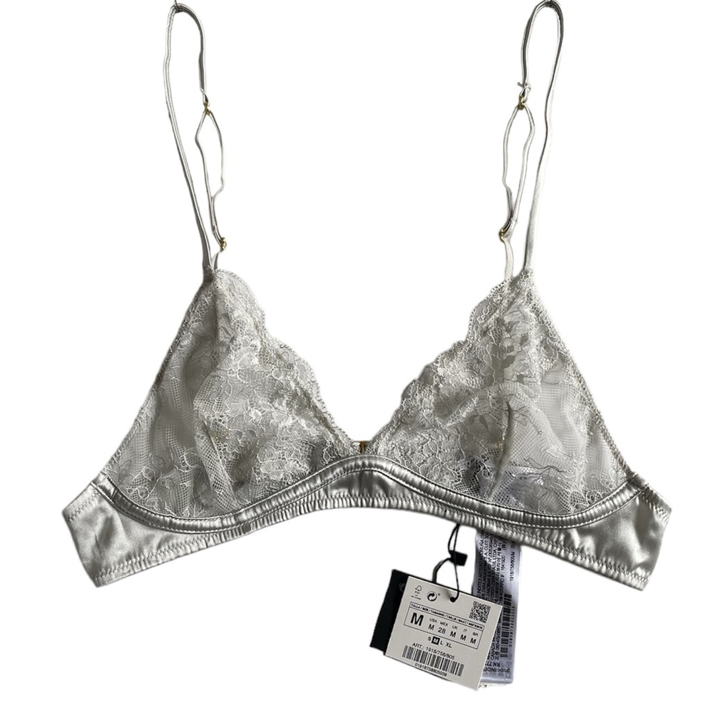 Zara Silk and Lace Bra NWT
